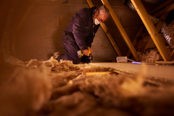 Best Insulation Maintenance and Repair in Bethel, AK